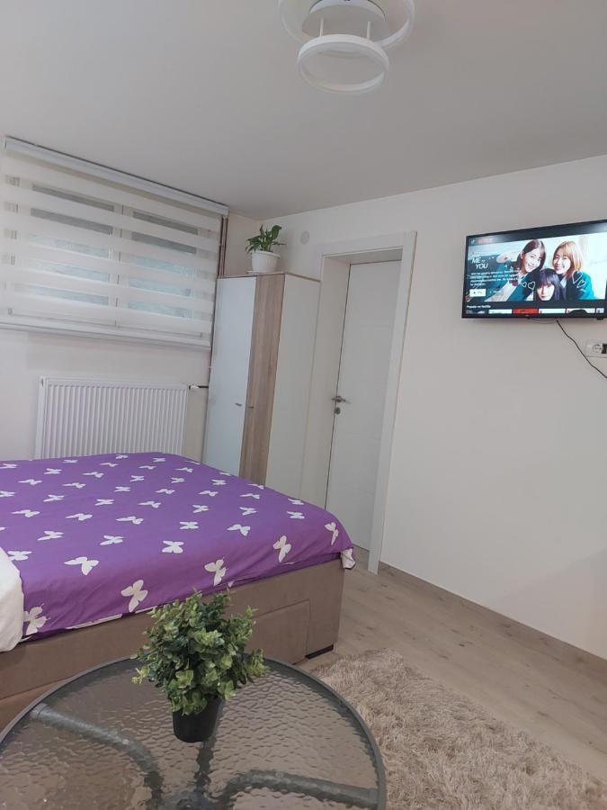 Apartman Zivkovic Leskovac  Eksteriør billede