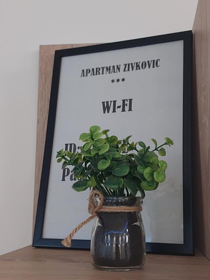 Apartman Zivkovic Leskovac  Eksteriør billede