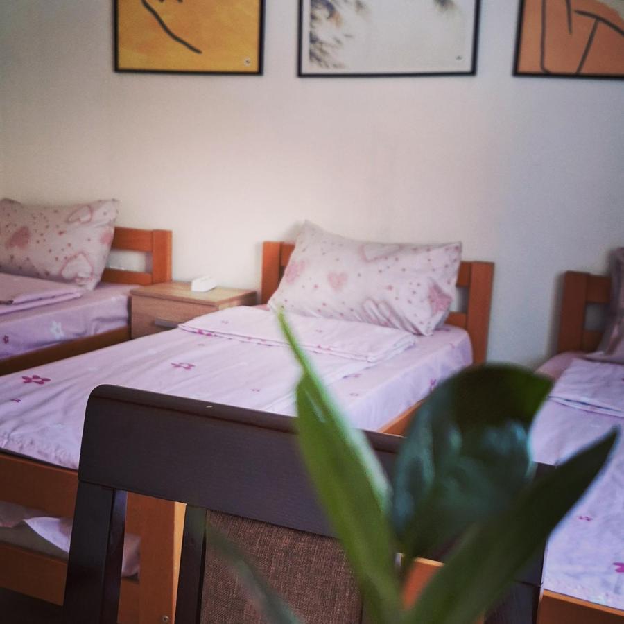 Apartman Zivkovic Leskovac  Eksteriør billede